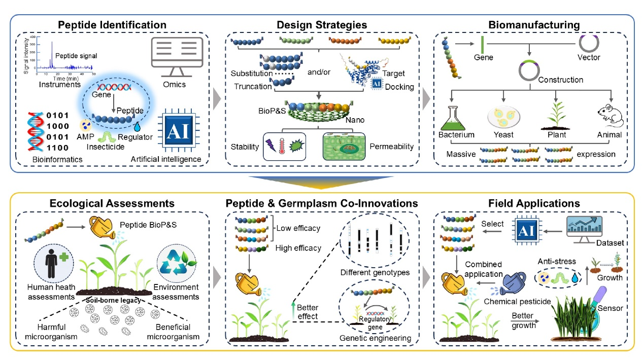 1764146242628680.png 1764146242628680.png