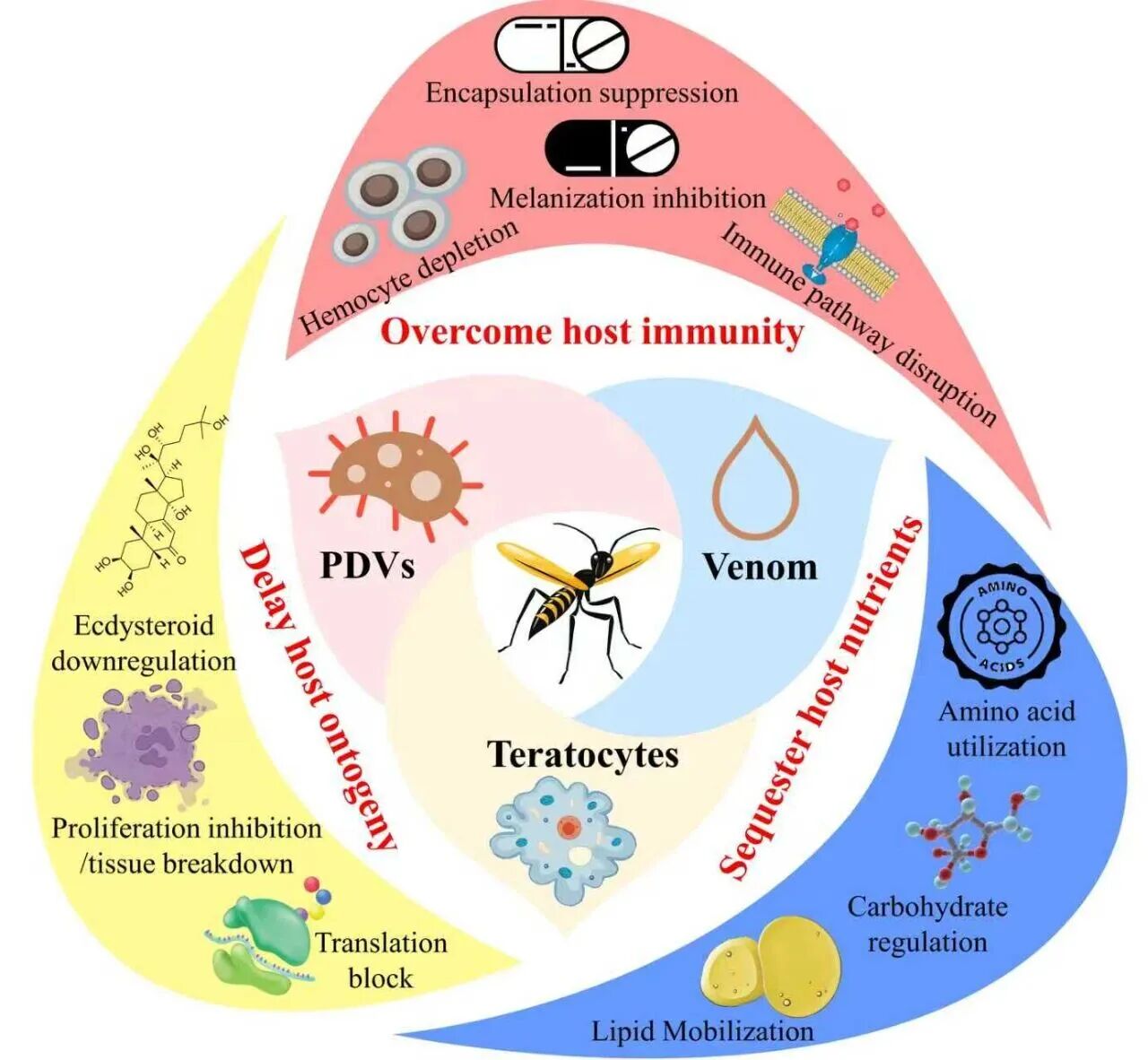 1764917017769082.jpg 1764917017769082.jpg